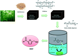 Graphical abstract: High yield conversion of cellulosic biomass into 5-hydroxymethylfurfural and a study of the reaction kinetics of cellulose to HMF conversion in a biphasic system