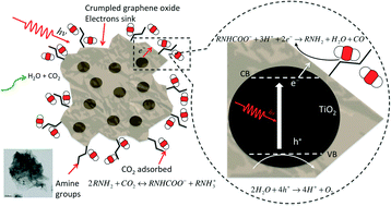Graphical abstract: Crumpled reduced graphene oxide–amine–titanium dioxide nanocomposites for simultaneous carbon dioxide adsorption and photoreduction