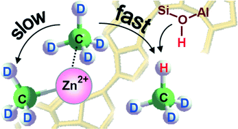 Graphical abstract: Competitive pathways of methane activation on Zn2+-modified ZSM-5 zeolite: H/D hydrogen exchange with Brønsted acid sites versus dissociative adsorption to form Zn-methyl species