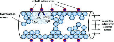 Graphical abstract: Accumulation of liquid hydrocarbons in catalyst pores during cobalt-catalyzed Fischer–Tropsch synthesis