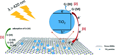 Graphical abstract: Efficient photocatalytic reduction of aqueous Cr(vi) over porous BNNSs/TiO2 nanocomposites under visible light irradiation