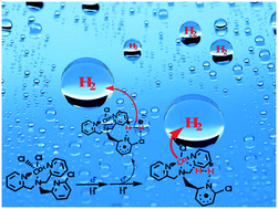 Graphical abstract: A polypyridyl Co(ii) complex-based water reduction catalyst with double H2 evolution sites