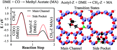 Graphical abstract: Reaction mechanism of dimethyl ether carbonylation to methyl acetate over mordenite – a combined DFT/experimental study