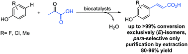 Graphical abstract: Systems biocatalysis: para-alkenylation of unprotected phenols