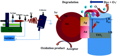 Graphical abstract: Enhanced visible-light-driven photocatalytic activity of Au@Ag core–shell bimetallic nanoparticles immobilized on electrospun TiO2 nanofibers for degradation of organic compounds