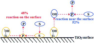 Graphical abstract: Location of photocatalytic oxidation processes on anatase titanium dioxide