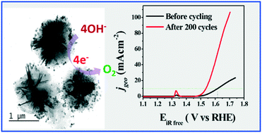 Graphical abstract: Petal-like hierarchical array of ultrathin Ni(OH)2 nanosheets decorated with Ni(OH)2 nanoburls: a highly efficient OER electrocatalyst