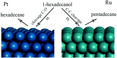 Graphical abstract: Differentiation of the C–O and C–C bond scission mechanisms of 1-hexadecanol on Pt(111) and Ru(0001): a first principles analysis