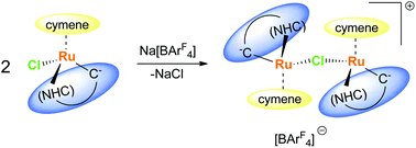 Graphical abstract: Unusual dimer formation of cyclometalated ruthenium NHC p-cymene complexes