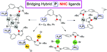 Graphical abstract: Coinage metal complexes with bridging hybrid phosphine–NHC ligands: synthesis of di- and tetra-nuclear complexes