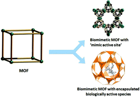 Graphical abstract: Biomimetic catalysis of metal–organic frameworks