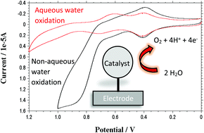 Graphical abstract: Nonaqueous electrocatalytic water oxidation by a surface-bound Ru(bda)(L)2 complex