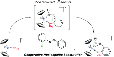 Graphical abstract: Direct P-functionalization of azobenzene by a cationic phosphidozirconocene complex