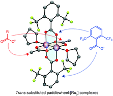 Graphical abstract: trans-Heteroleptic carboxylate-bridged paddlewheel diruthenium(ii, ii) complexes with 2,6-bis(trifluoromethyl)benzoate ligands