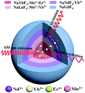 Graphical abstract: Rational design of Nd3+-sensitized multifunctional nanoparticles with highly dominant red emission