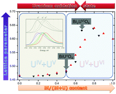 Graphical abstract: Further insights into the chemistry of the Bi–U–O system