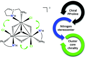 Graphical abstract: C3-symmetry Mo3S4 aminophosphino clusters combining three sources of stereogenicity: stereocontrol directed by hydrogen bond interactions and ligand configuration