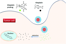 Graphical abstract: Encapsulation of lipophilic kiteplatin Pt(iv) prodrugs in PLGA-PEG micelles