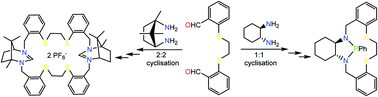 Graphical abstract: N2S2 and N4S4 precursors to PS2 macrocycles and cyclic amidinium salts