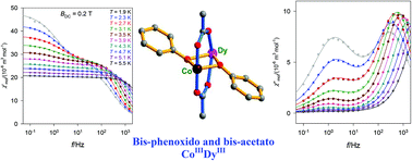 Graphical abstract: Bis-phenoxido and bis-acetato bridged heteronuclear {CoIIIDyIII} single molecule magnets with two slow relaxation branches