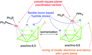 Graphical abstract: Postsynthetic modifications of [2,2,2-(H)(PPh3)2-closo-2,1-RhSB8H8] with Lewis bases: cluster modular tuning