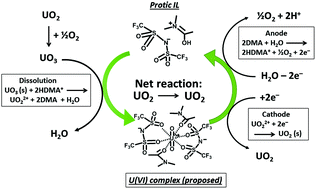 Graphical abstract: Tandem dissolution of UO3 in amide-based acidic ionic liquid and in situ electrodeposition of UO2 with regeneration of the ionic liquid: a closed cycle