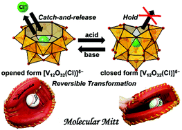 Graphical abstract: A chloride capturing system via proton-induced structure transformation between opened- and closed-forms of dodecavanadates