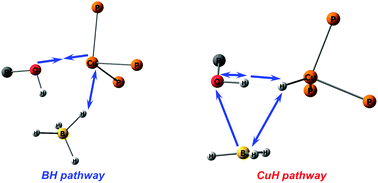 Graphical abstract: Two pathways of proton transfer reaction to (triphos)Cu(η1-BH4) via a dihydrogen bond [triphos = 1,1,1-tris(diphenylphosphinomethyl)ethane]