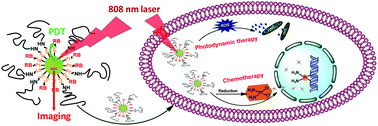 Graphical abstract: An upconversion nanoplatform for simultaneous photodynamic therapy and Pt chemotherapy to combat cisplatin resistance
