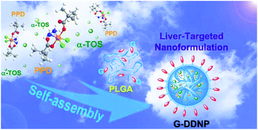 Graphical abstract: Dual-drug loaded nanoformulation with a galactosamine homing moiety for liver-targeted anticancer therapy