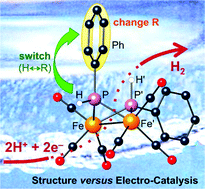 Graphical abstract: Bridgehead isomer effects in bis(phosphido)-bridged diiron hexacarbonyl proton reduction electrocatalysts