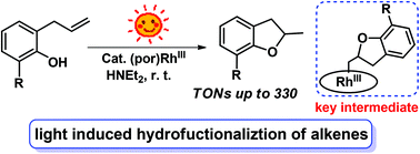Graphical abstract: Light induced catalytic intramolecular hydrofunctionalization of allylphenols mediated by porphyrin rhodium(iii) complexes