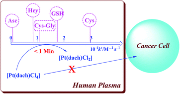 Graphical abstract: Reduction of ormaplatin and cis-diamminetetrachloroplatinum(iv) by ascorbic acid and dominant thiols in human plasma: kinetic and mechanistic analyses