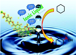 Graphical abstract: A Cu(ii) MOF with a flexible bifunctionalised terpyridine as an efficient catalyst for the single-pot hydrocarboxylation of cyclohexane to carboxylic acid in water/ionic liquid medium