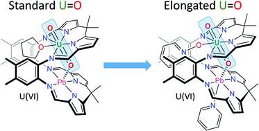 Graphical abstract: Controlling uranyl oxo group interactions to group 14 elements using polypyrrolic Schiff-base macrocyclic ligands