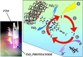 Graphical abstract: Charge injection into nanostructured TiO2 electrodes from the photogenerated reduced form of a new Ru(ii) polypyridine compound: the “anti-biomimetic” mechanism at work