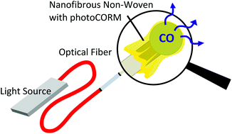 Graphical abstract: Remote-controlled delivery of CO via photoactive CO-releasing materials on a fiber optical device