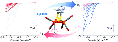 Graphical abstract: Characterization of a monocyanide model of FeFe hydrogenases – highlighting the importance of the bridgehead nitrogen for catalysis