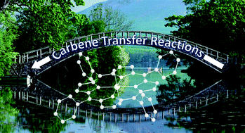 Graphical abstract: The ligand influence in stereoselective carbene transfer reactions promoted by chiral metal porphyrin catalysts