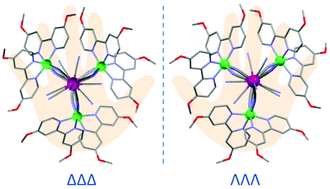Graphical abstract: Ligand dependent topology and spontaneous resolution in high-spin cyano-bridged Ni3W2 clusters