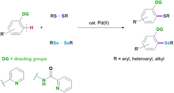 Graphical abstract: Palladium-catalysed direct thiolation and selenation of aryl C–H bonds assisted by directing groups