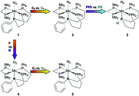 Graphical abstract: Molybdenum dinitrogen complexes facially coordinated by linear tridentate PEP ligands (E = N or P): impact of the central E donor in trans-position to N2
