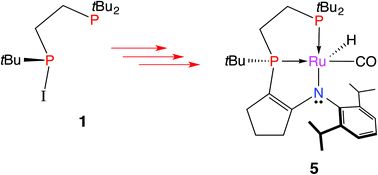 Graphical abstract: Synthesis of a sterically bulky diphosphine synthon and Ru(ii) complexes of a cooperative tridentate enamide-diphosphine ligand platform