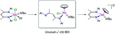 Graphical abstract: Unusual κ1 coordination of a β-diketiminate ligand in niobium complexes