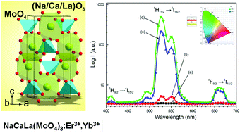 Graphical abstract: Triple molybdate scheelite-type upconversion phosphor NaCaLa(MoO4)3:Er3+/Yb3+: structural and spectroscopic properties