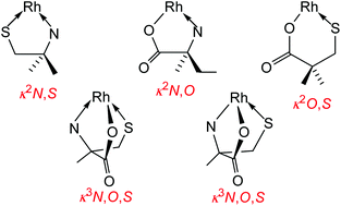 Graphical abstract: Half-sandwich complexes of rhodium containing cysteine-derived ligands
