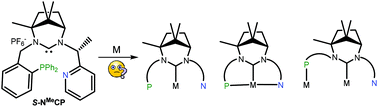 Graphical abstract: Mono- and dimeric complexes of an asymmetric heterotopic P,CNHC,pyr ligand