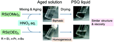 Graphical abstract: Poly(n-alkylsilsesquioxane) liquids prepared by cosolvent-free hydrolytic polycondensation of n-alkyltrialkoxysilanes: effects of liquid–liquid phase separation during aging and alkyl chain length on structure and viscosity