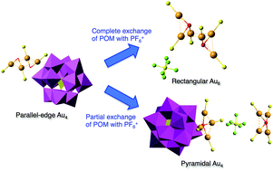 Graphical abstract: The effect of counteranions on the molecular structures of phosphanegold(i) cluster cations formed by polyoxometalate (POM)-mediated clusterization