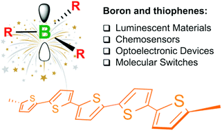 Graphical abstract: Merging thiophene with boron: new building blocks for conjugated materials